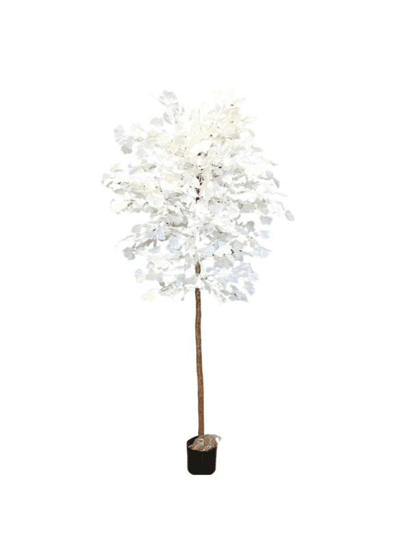 Ginko 15335